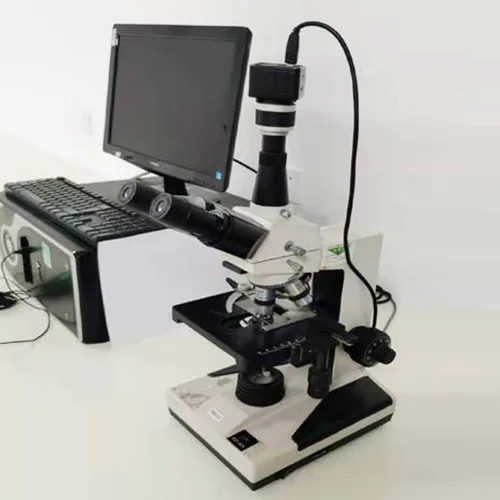 Elektronimikroskooppi